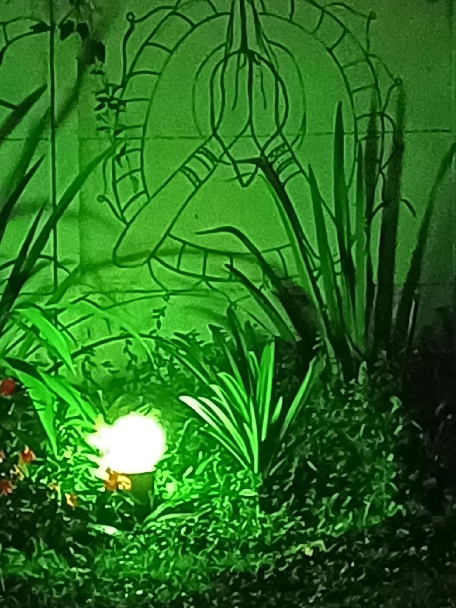 Hospedagem Namaste Visconde De Maua Luaran gambar